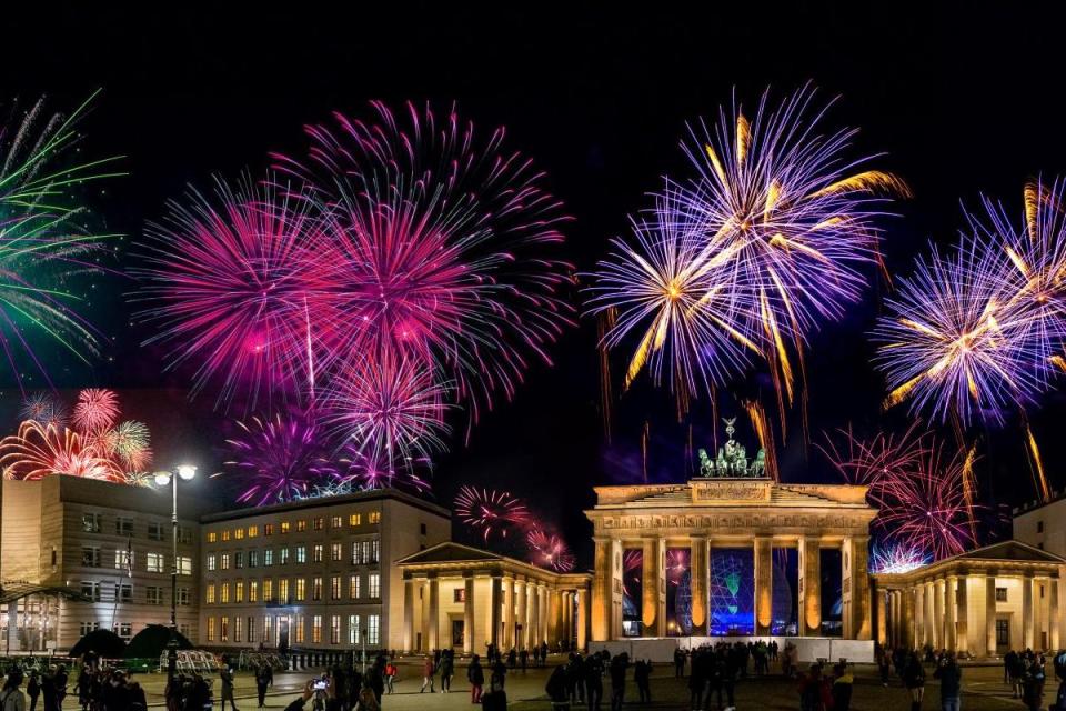 German dog owners sit out New Year’s Eve chaos in airport hotels